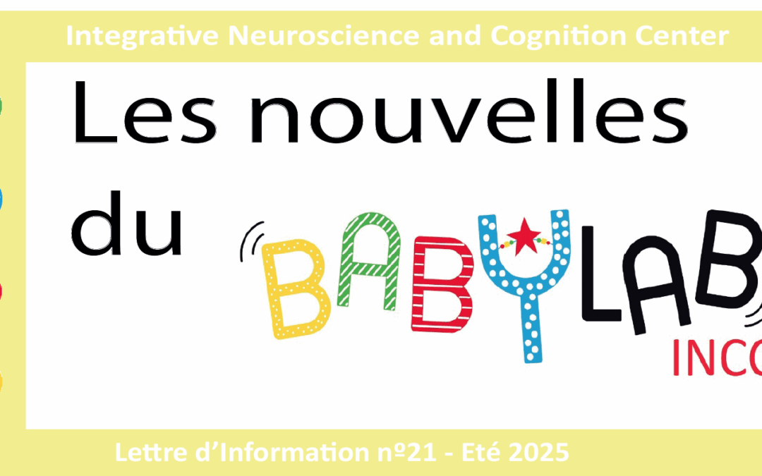Newsletter 21