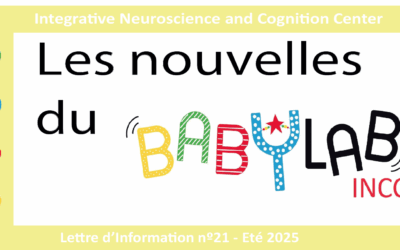 Newsletter 21