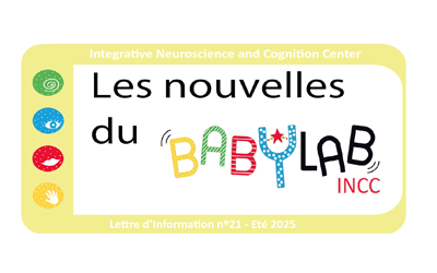 Newsletter 21